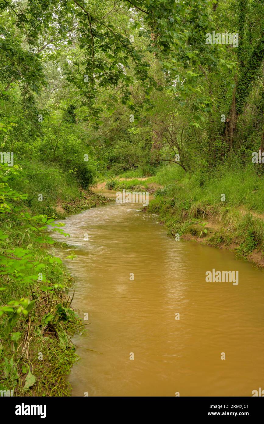 Dintorni del fiume Tenes che attraversa Santa Eulàlia de Roncaana in primavera (Vallès Oriental, Barcellona, Catalogna, Spagna) Foto Stock