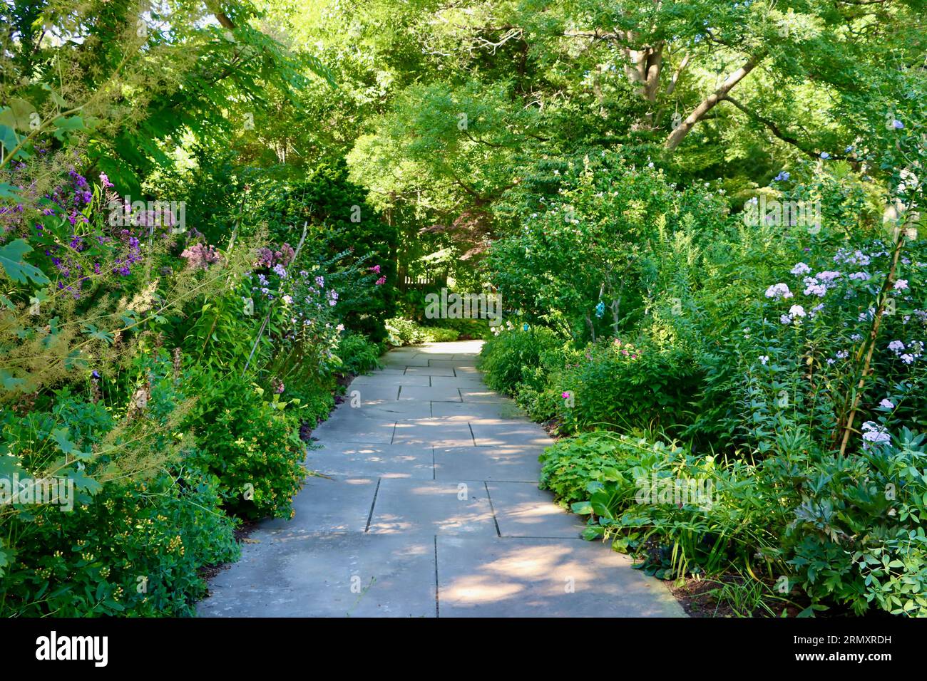 Splendido e sereno percorso al Cleveland Botanical Garden, Cleveland, Ohio Foto Stock