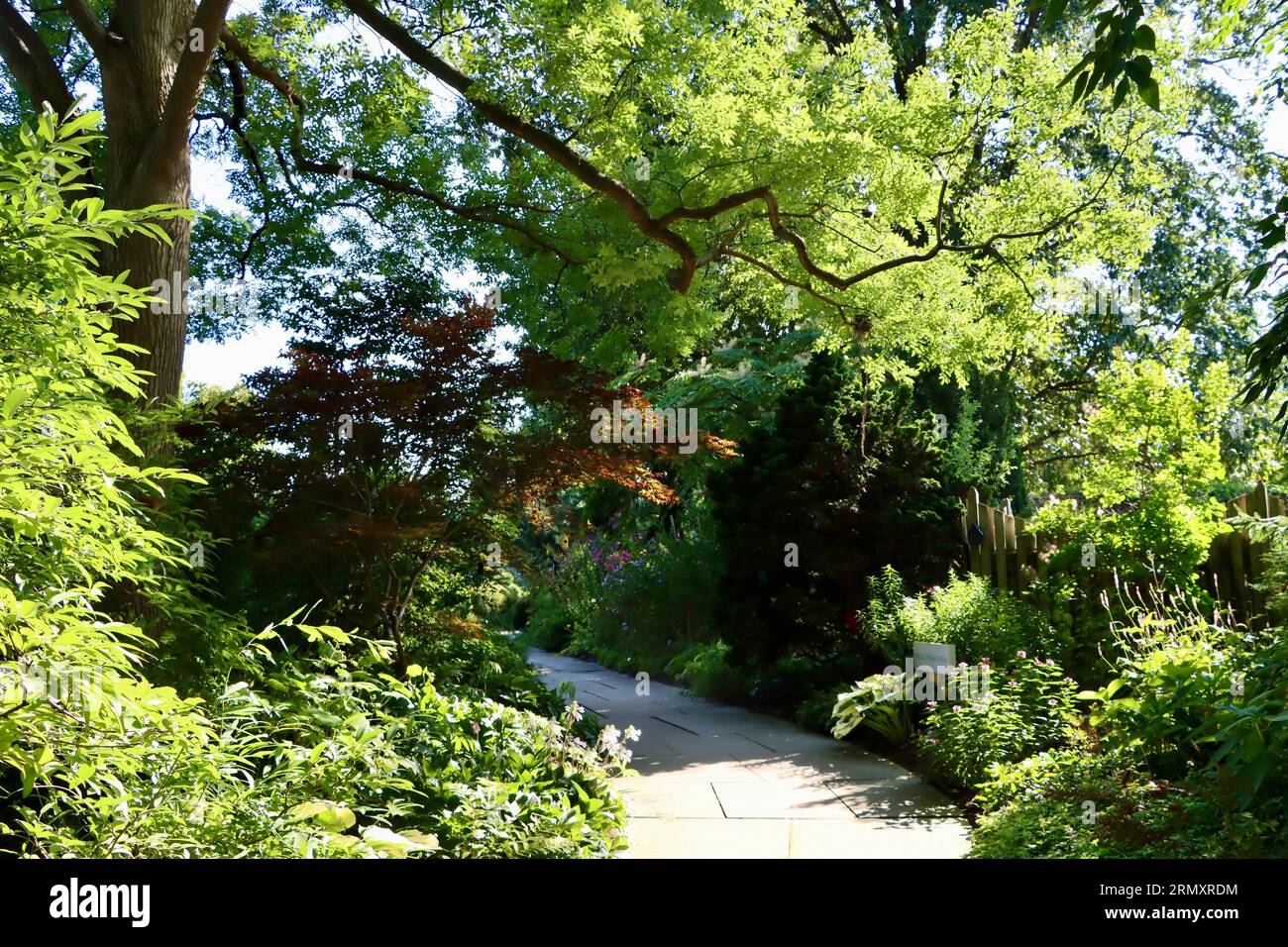 Splendido e sereno percorso al Cleveland Botanical Garden, Cleveland, Ohio Foto Stock