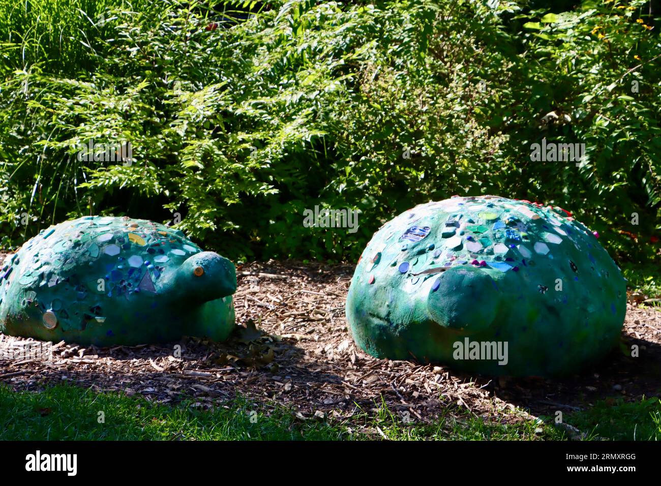 Tartarughe in vetro di Glass Asylum al Cleveland Botanical Garden, Cleveland, Ohio Foto Stock