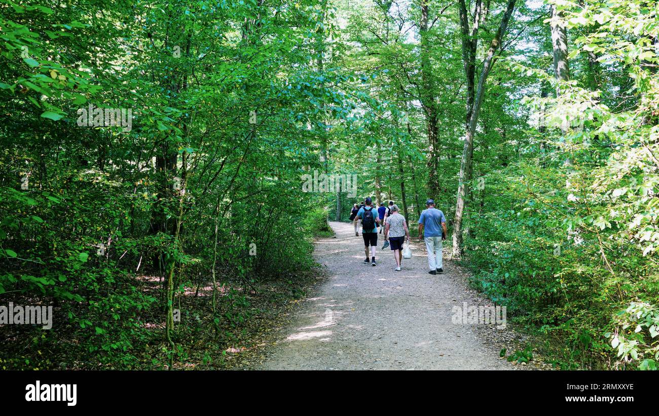 Escursioni turistiche attraverso la foresta fino al castello fiabesco di Burg Eltz in Germania. Foto Stock