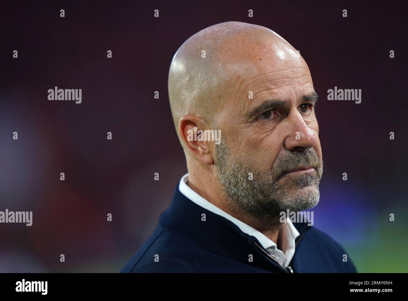 Peter Bosz, allenatore del PSV Eindhoven, prima della partita di andata e ritorno della UEFA Champions League al Philips Stadium di Eindhoven. Data foto: Mercoledì 30 agosto 2023. Foto Stock