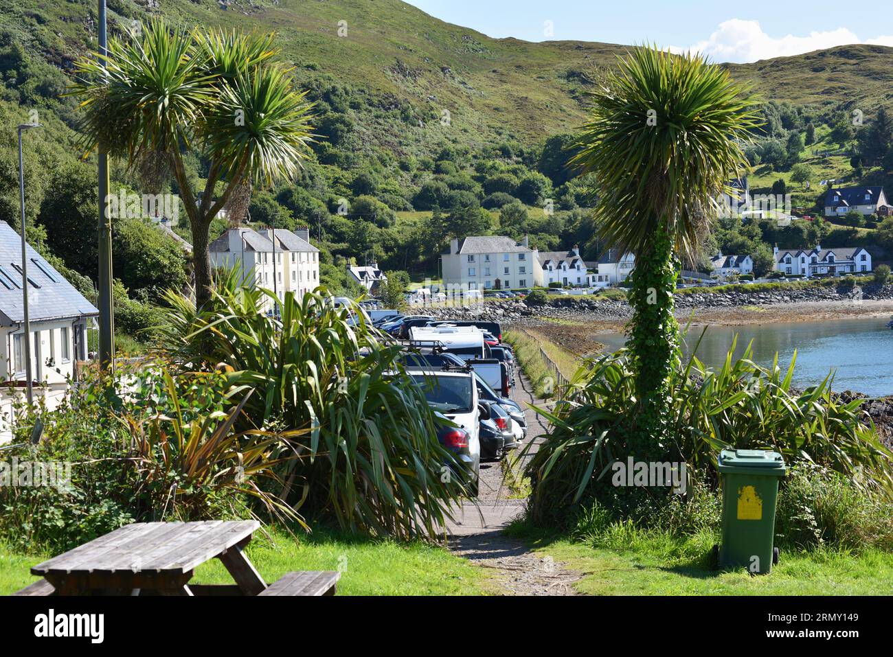 Palme che crescono sul lungomare di Mallaig nelle Highlands scozzesi Foto Stock