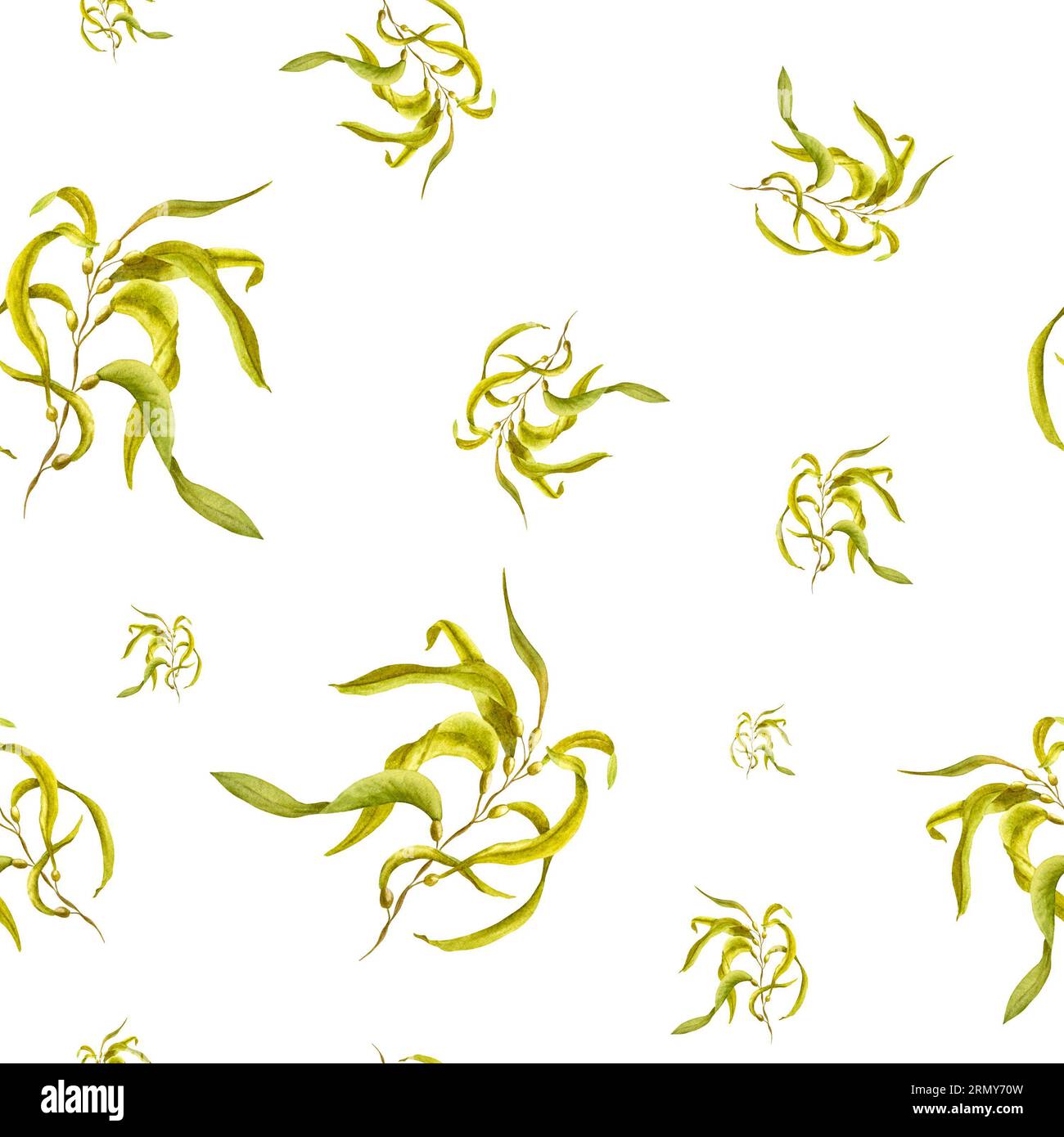 Motivo senza cuciture con alghe su sfondo bianco. Alghe gialle. Illustrazione ad acquerello dipinta a mano con alghe fresche. Erba sott'acqua. Per il tessile Foto Stock