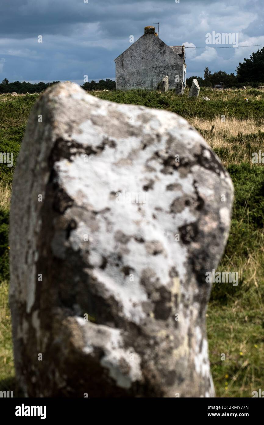 Una vista delle pietre di Carnac, a Carnac, Bretagna, Francia Foto Stock