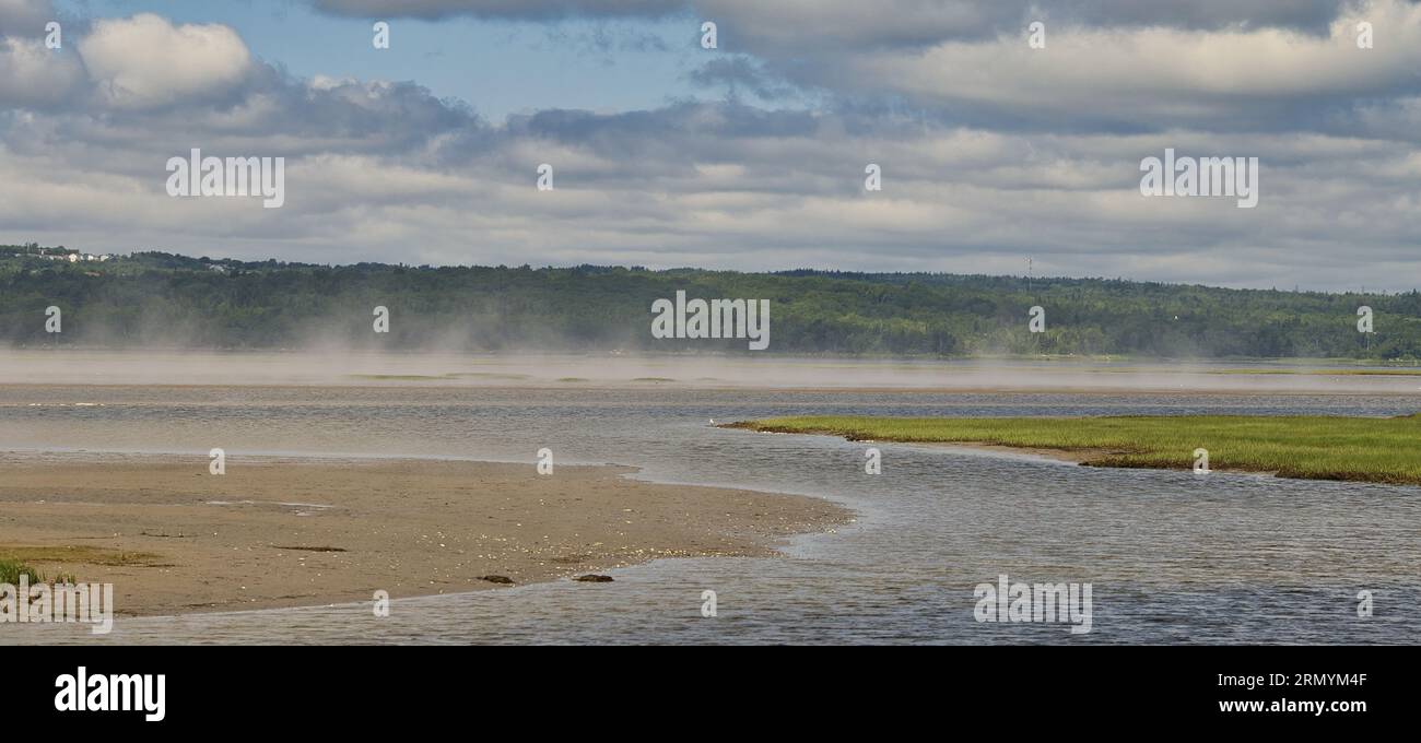 Il Salt Marsh Trail, nuova Scozia, fa parte della ferrovia abbandonata Musquodoboit che è stata trasformata in una parte del Trans Canada Trail. Foto Stock