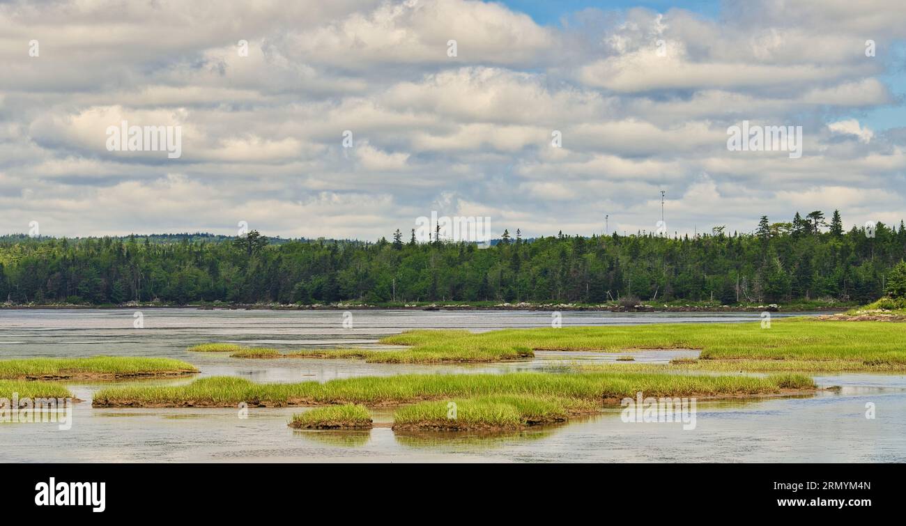 Il Salt Marsh Trail, nuova Scozia, fa parte della ferrovia abbandonata Musquodoboit che è stata trasformata in una parte del Trans Canada Trail. Foto Stock