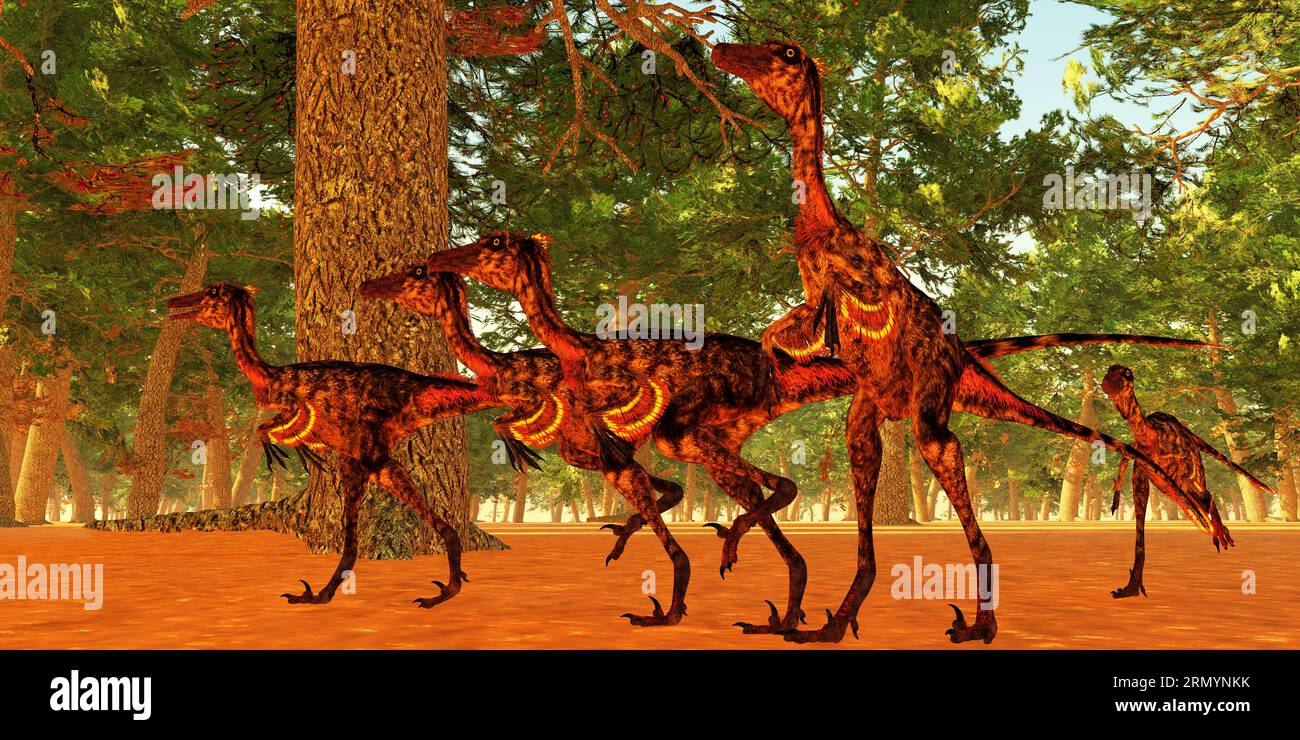 Troodon era un piccolo carnivoro dinosauro che ha vissuto in Nord America durante il Cretacico. Foto Stock