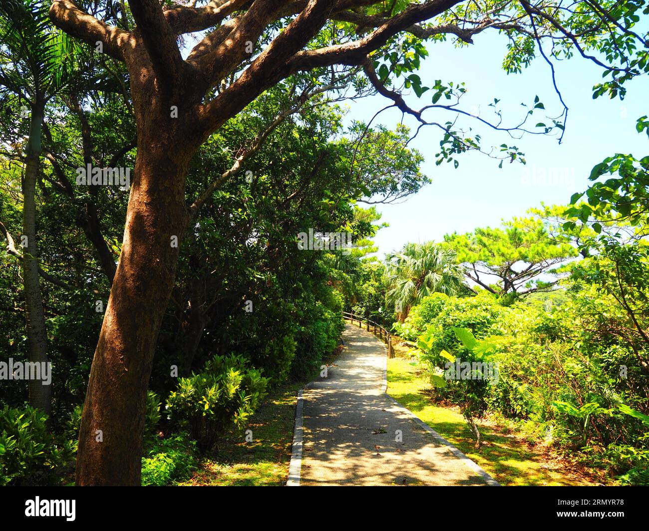 Isola di Miyako, isola di Ishigaki, Okinawa, Giappone Foto Stock