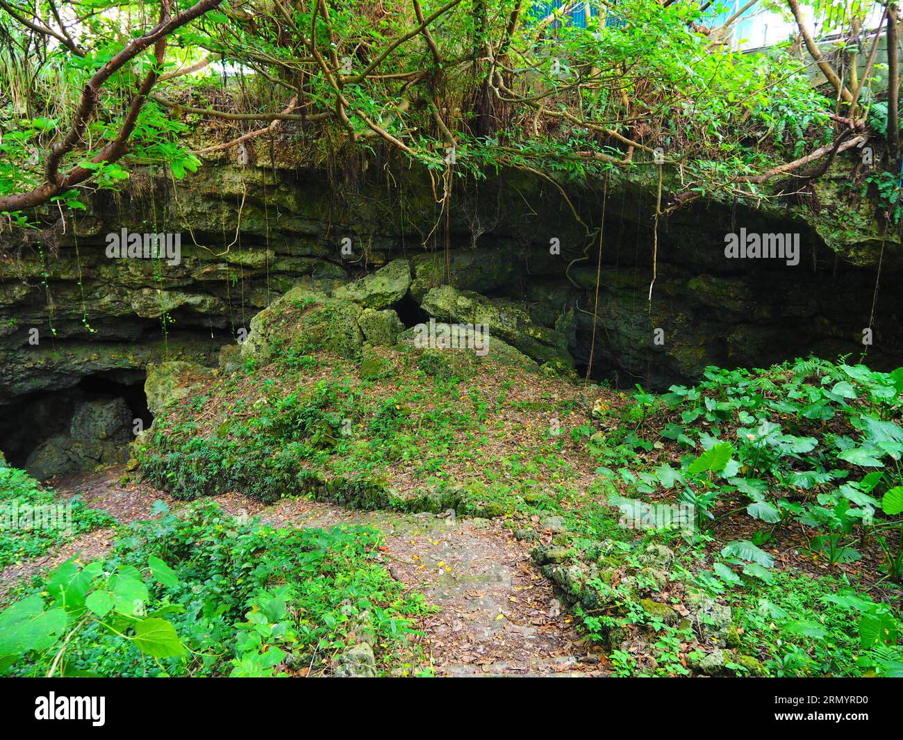 Isola di Miyako, isola di Ishigaki, Okinawa, Giappone Foto Stock