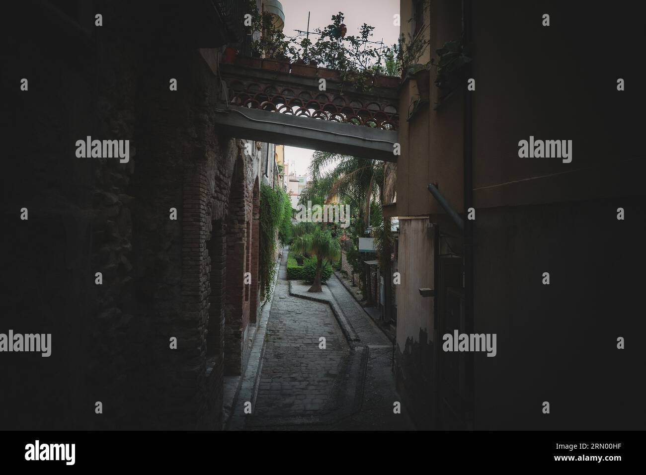 Vialetto, vicolo buio con muro di mattoni e stucco. Struttura elevata con piante in vaso tra Foto Stock