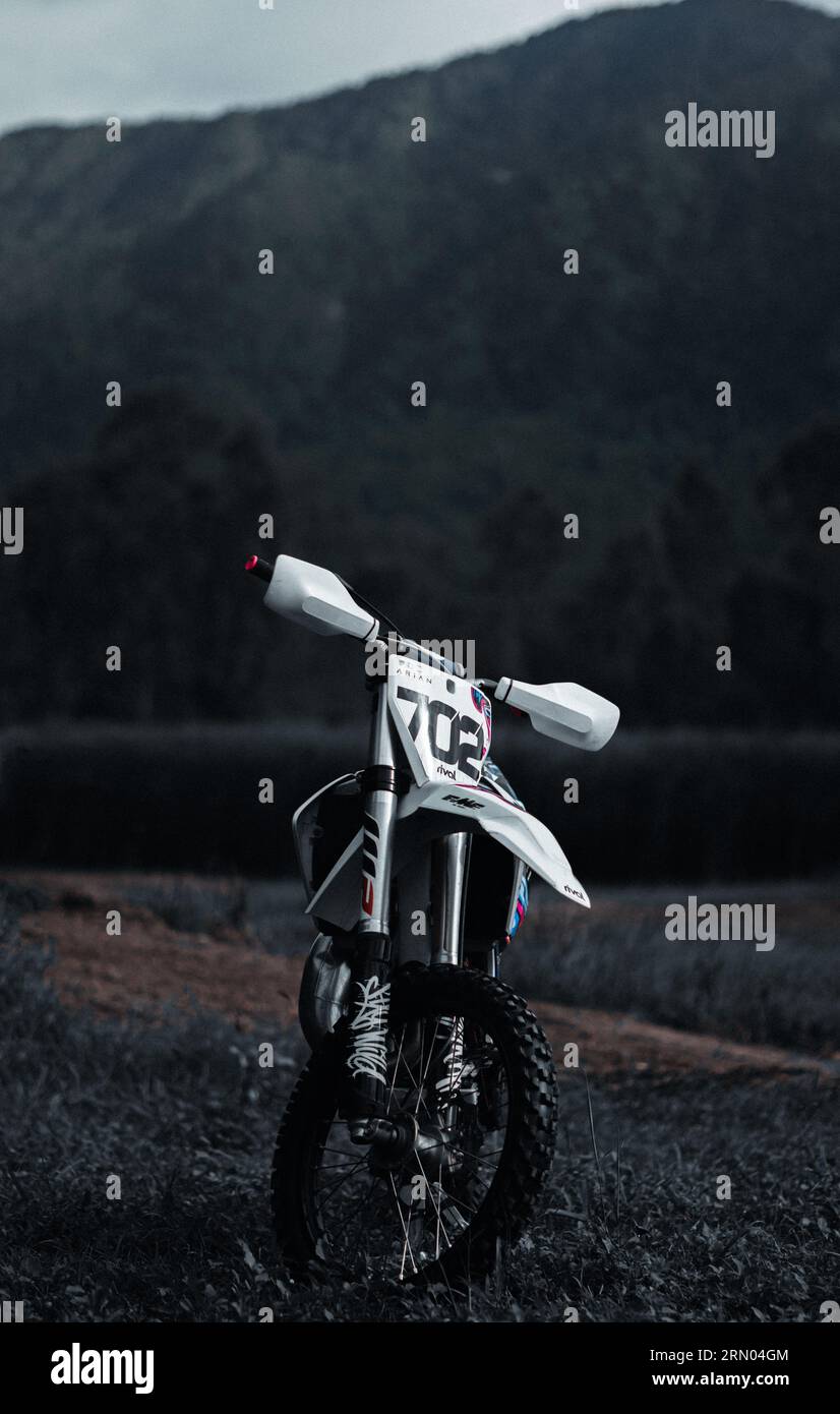 Moto seduto sull'erba davanti alle montagne Foto Stock