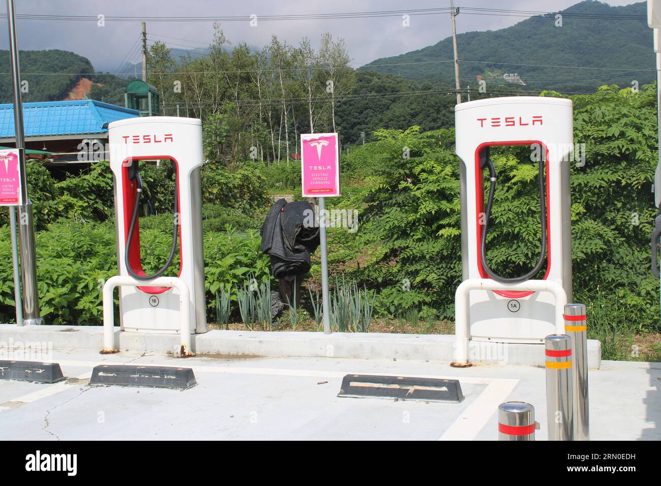 Stazione di ricarica Tesla EV Foto Stock