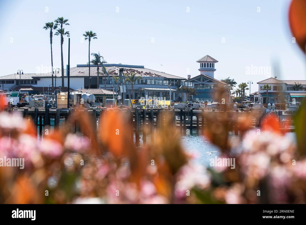 Vista diurna del porticciolo pubblico di Ventura Harbor a Ventura, California, Stati Uniti. Foto Stock