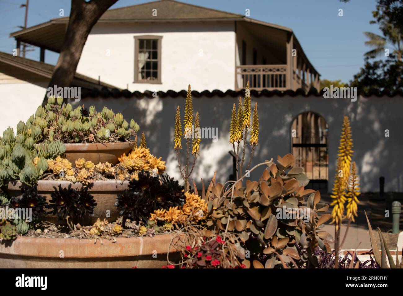 Il sole del pomeriggio splende su uno storico edificio di adobe ranch dei primi anni '1800 vicino al centro di Ventura, California, Stati Uniti. Foto Stock