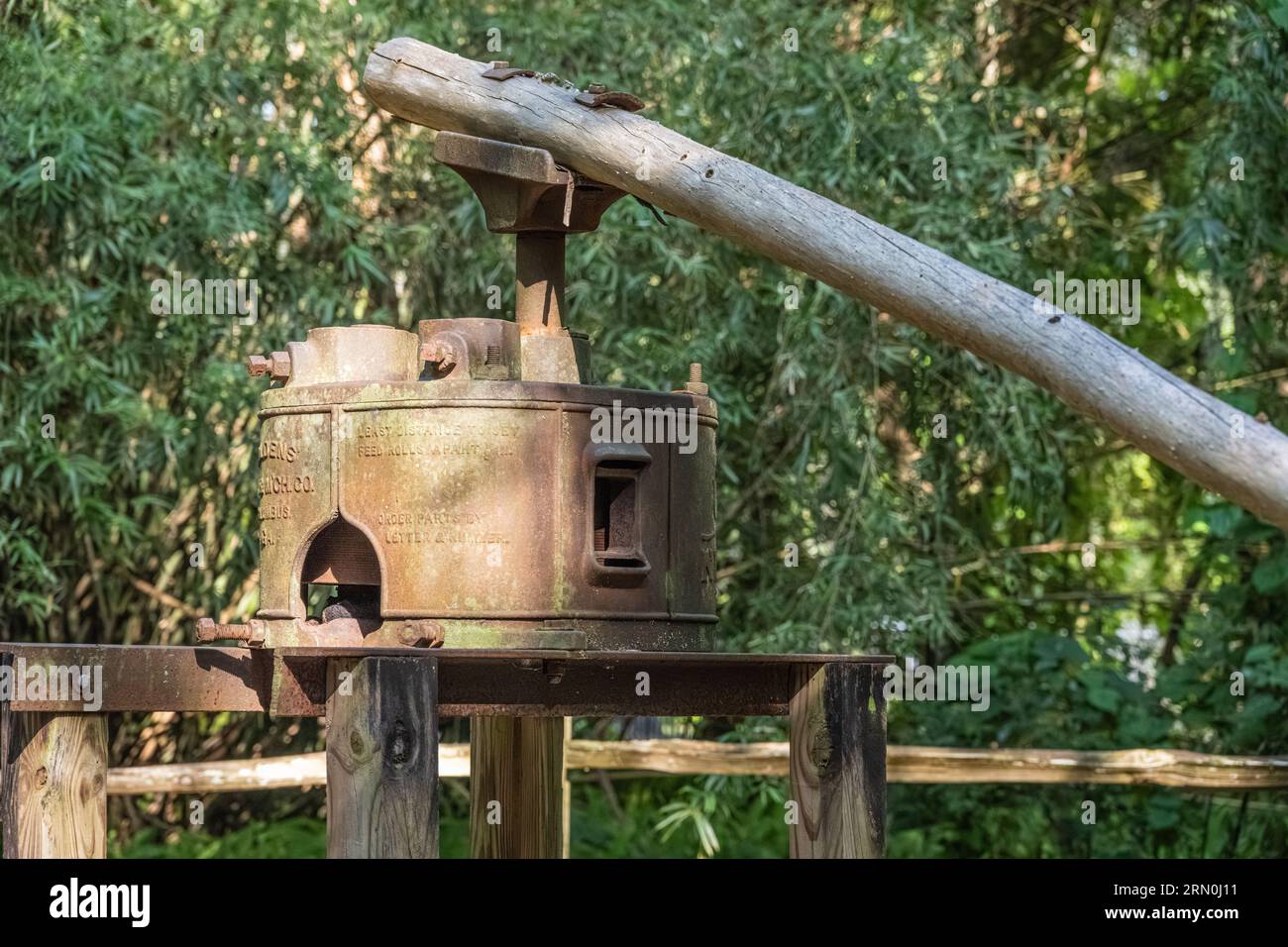 Frantoio d'epoca di cane Goldens' cane Crusher in ghisa disegnata su mulo nella fattoria del Walter Jones Historical Park di Mandarin, Florida. (USA) Foto Stock