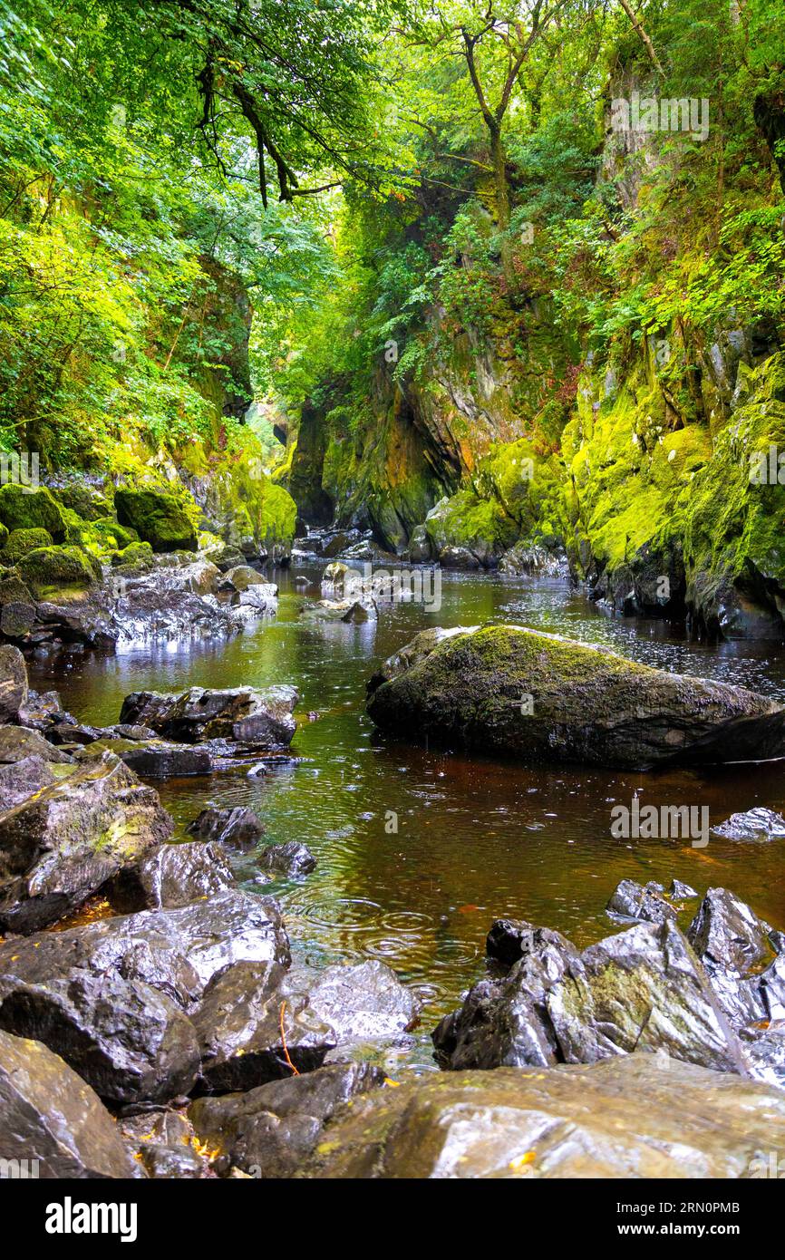 Fata Gorge Glen sul fiume Conwy, Betws-y-Coed, Snowdonia National Park, Galles, Regno Unito Foto Stock