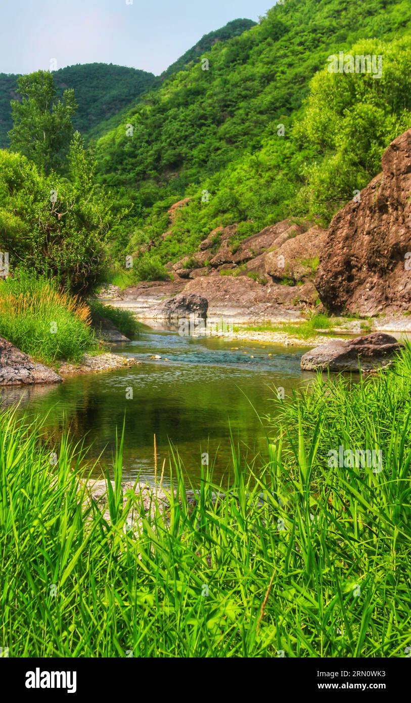 Abbracciate la bellezza serena di un fiume adornato da torreggianti alberi verdi e un soffice e nuvoloso cielo blu, una scena di tranquillità naturale. Foto Stock