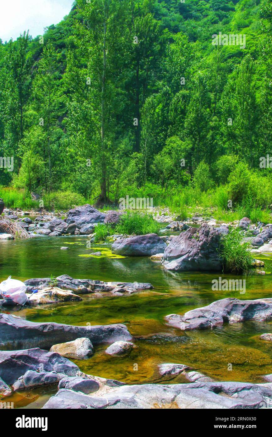 Abbracciate la bellezza serena di un fiume adornato da torreggianti alberi verdi e un soffice e nuvoloso cielo blu, una scena di tranquillità naturale. Foto Stock