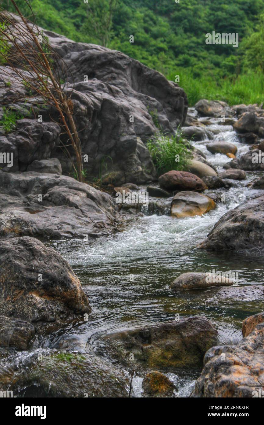 Abbracciate la bellezza serena di un fiume adornato da torreggianti alberi verdi e un soffice e nuvoloso cielo blu, una scena di tranquillità naturale. Foto Stock