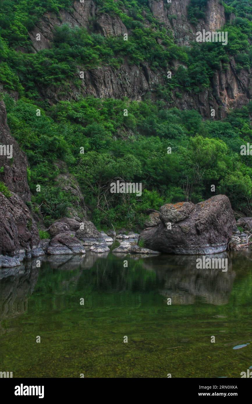 Abbracciate la bellezza serena di un fiume adornato da torreggianti alberi verdi e un soffice e nuvoloso cielo blu, una scena di tranquillità naturale. Foto Stock