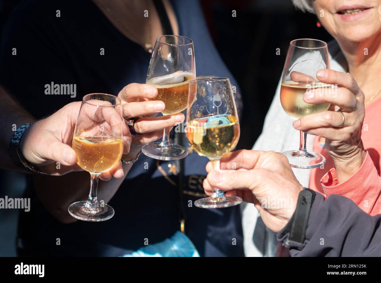 Attività nel villaggio di Boffres (Francia sud-orientale) durante il affascinante week end vignobles et decouvertes", affascinanti vigneti e scoperte Foto Stock