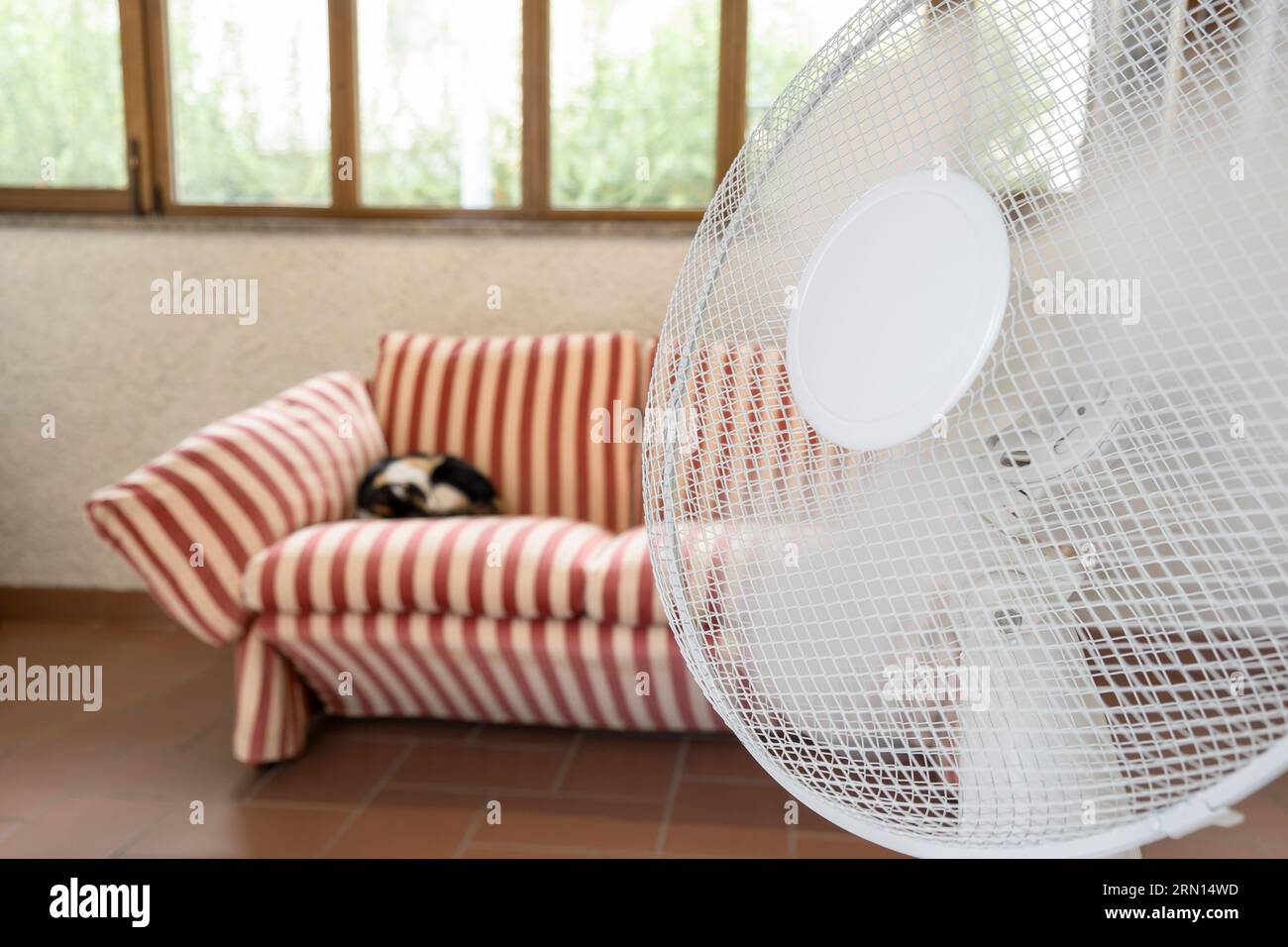 Moderno ventilatore elettrico bianco funzionante in camera. Foto Stock