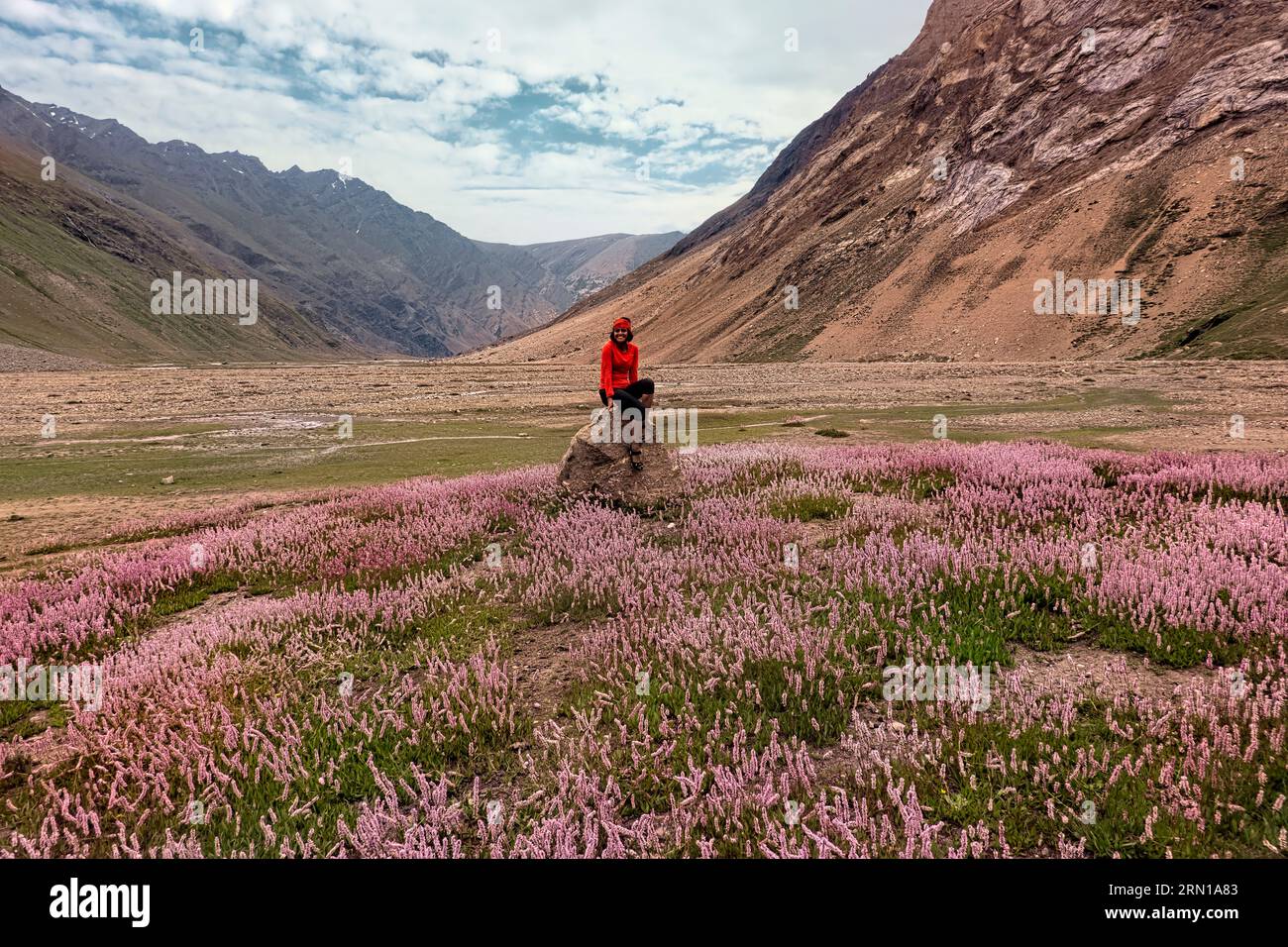 Circondato da bistorti himalayani di fiori selvatici nella splendida valle di Warwan, catena montuosa PIR Panjal, Kashmir, India Foto Stock