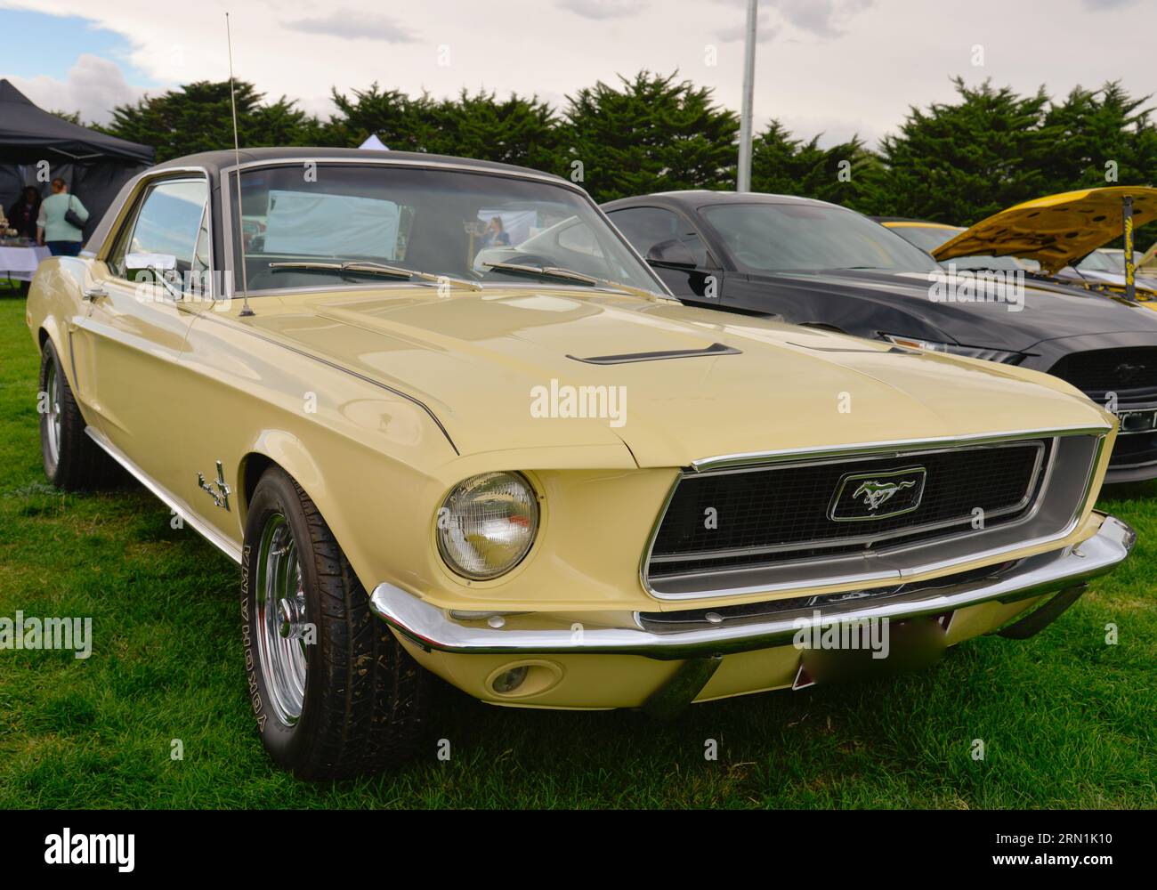Ford Mustang 1960s Yellow Car Vintage retro Show Shine Day Out, Melbourne Victoria Foto Stock