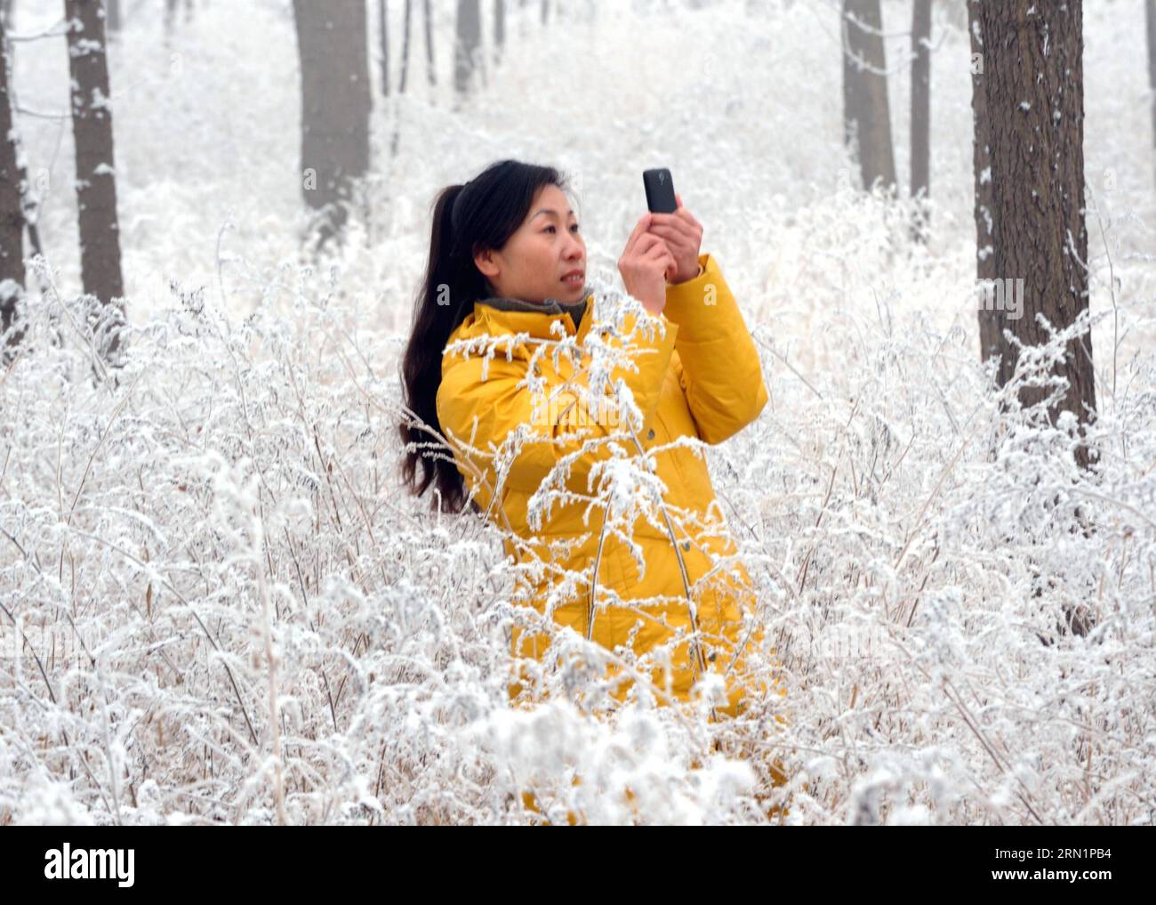 (150115) -- YONGQING, 14 gennaio 2015 -- Una donna scatta foto del paesaggio innevato nella contea di Yongqing di Langfang, nella provincia di Hebei nella Cina settentrionale, 14 gennaio 2015. Langfang ha visto la sua prima nevicata nel 2015 il 14 gennaio. ) (rpf/lmm) CINA-HEBEI-LANGFANG-NEVICATE (CN) LixXiaoguo PUBLICATIONxNOTxINxCHN Yong Qing 14 gennaio 2015 una donna scatta foto del paesaggio innevato nella contea di Yong Qing di Lang Fang nella provincia di Hebei nella Cina settentrionale 14 gennaio 2015 Lang Fang HA VISTO la sua prima nevicata nel 2015 IL 14 gennaio RPF lmm China Hebei lang Fang Fang nevicate CN PUBLICATIONxNOTxINxCHN Foto Stock