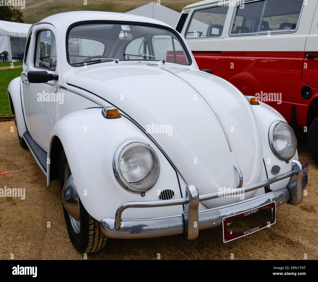 Volkswagen VW Beetle White Vintage retro Show Shine Day Out, Melbourne Victoria Foto Stock