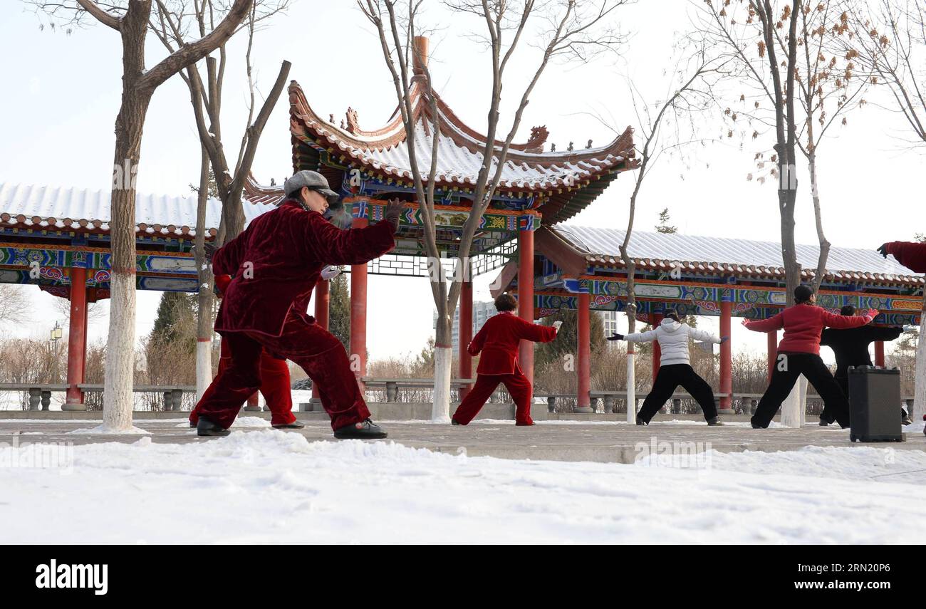 (150129) -- YINCHUAN, 29 gennaio 2015 -- la gente gioca a Taichi al Parco Haibao di Yinchuan, capitale della regione autonoma di Ningxia Hui della Cina nord-occidentale, 29 gennaio 2015. Una nevicata ha colpito Ningxia mercoledì. ) (wyo) CINA-NINGXIA-NEVICATE (CN) WangxPeng PUBLICATIONxNOTxINxCHN Yinchuan gennaio 29 2015 le celebrità giocano Tai chi AL Parco Haibao a Yinchuan capitale della regione autonoma Ningxia Hui della Cina nord-occidentale gennaio 29 2015 una nevicata ha colpito Ningxia mercoledì China Ningxia nevicate CN PUBLICATIONXNOTxINXCHN Foto Stock