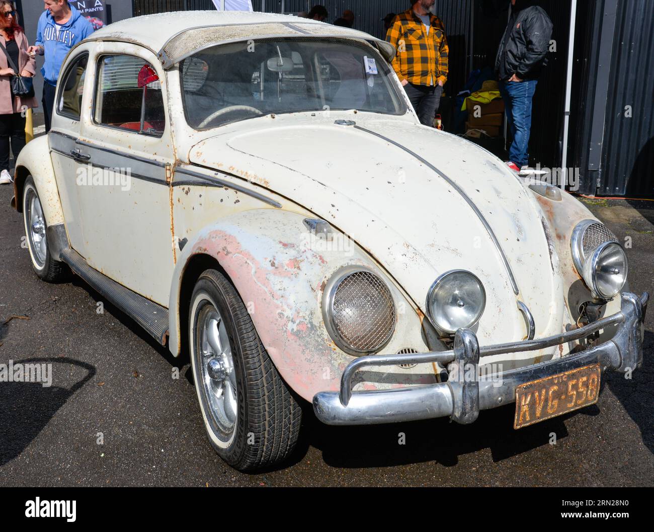 Volkswagen VW Beetle White Vintage retro Show Shine Day Out, Melbourne Victoria Foto Stock