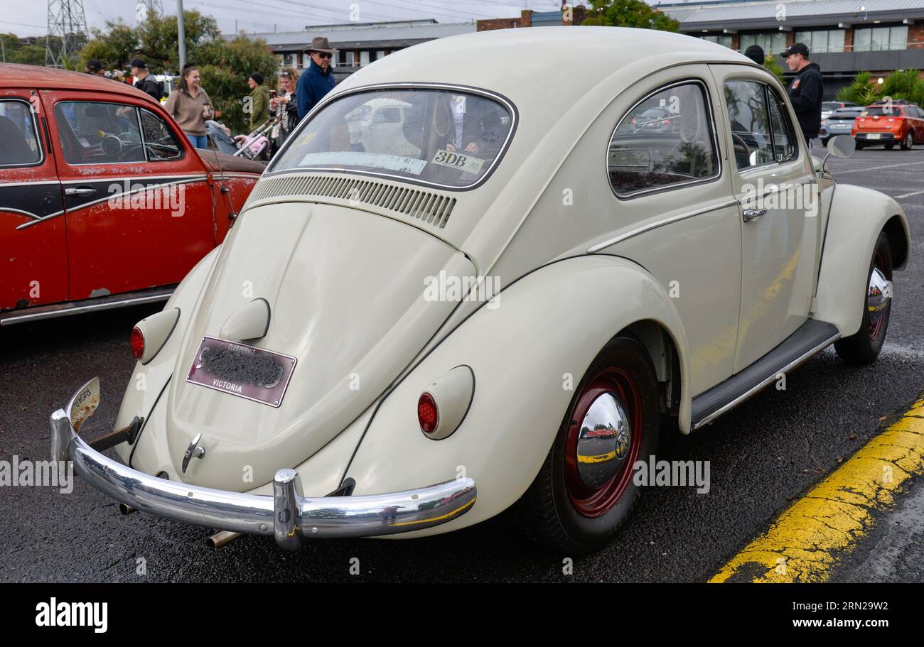 Volkswagen VW Beetle Cream White Vintage retro Show Shine Day Out, Melbourne Victoria Foto Stock