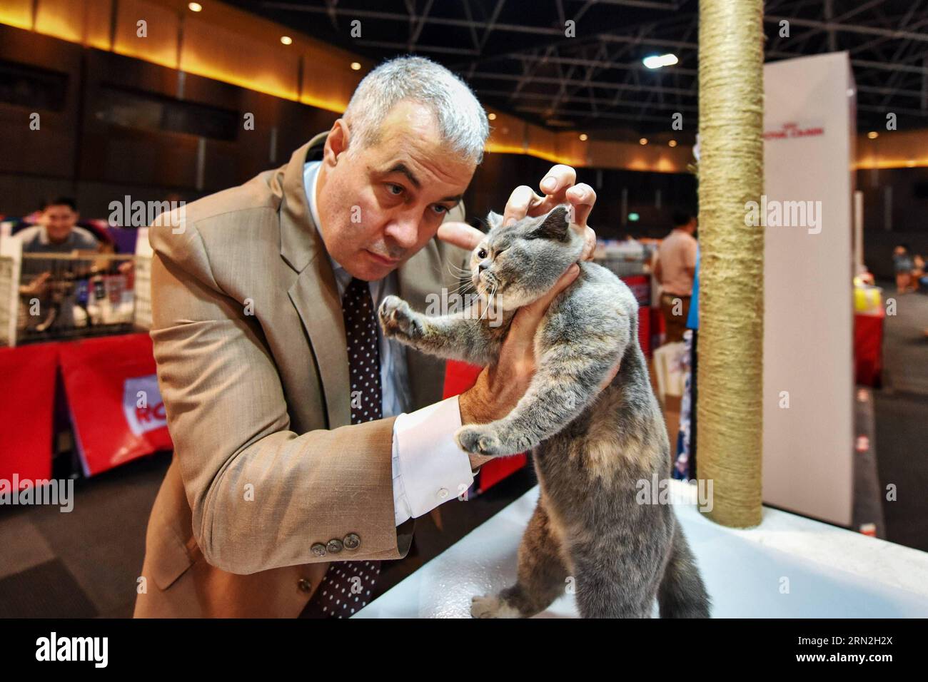 (150307) -- BANGKOK, 7 marzo 2015 -- il giudice osserva un gatto durante il Bangkok International Cat Competition 2015 a Bangkok, Thailandia, il 7 marzo 2015. Più di 200 gatti pedigree sono stati registrati per partecipare all'evento, ospitato dalla Cat Fanciers Association e dal Cat Fanciers Club of Thailand. ) (Zhf) THAILAND-BANGKOK-CAT-COMPETITION LixMangmang PUBLICATIONxNOTxINxCHN Bangkok 7 marzo 2015 il giudice osserva un gatto durante il Bangkok International Cat Competition 2015 a Bangkok paese tailandese IL 7 marzo 2015 più di 200 gatti pedigrei sono stati registrati per partecipare a T Foto Stock