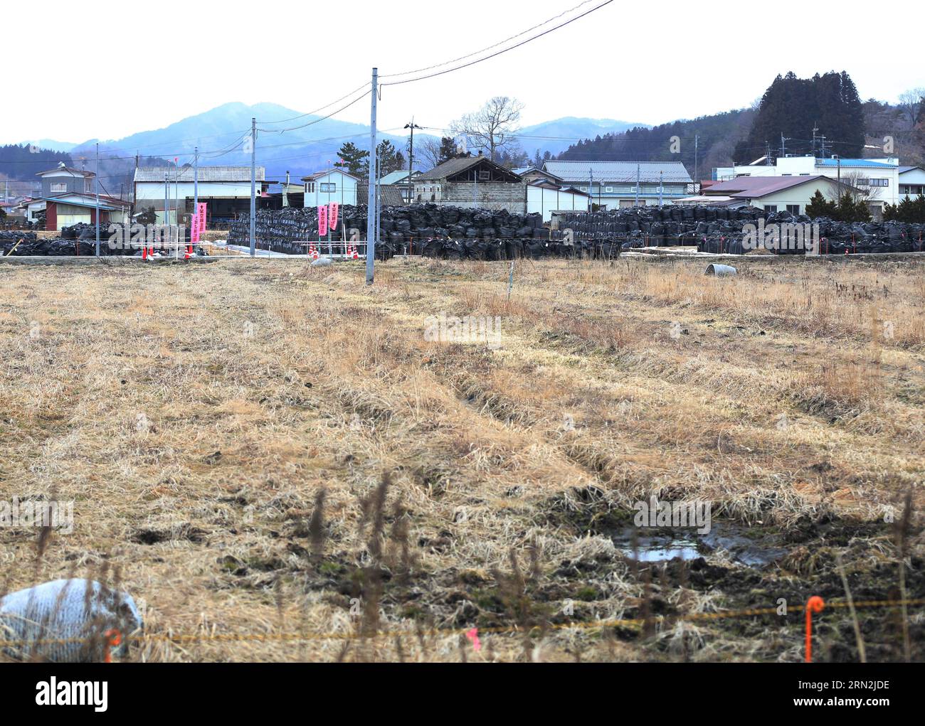 (150310) -- FUKUSHIMA, 10 marzo 2015 -- sacchi neri contenenti accumuli di rifiuti contaminati si vedono nella città di Iitate, prefettura di Fukushima, Giappone, 7 marzo 2015. Le scene delle città e dei villaggi ancora abbandonate quattro anni dopo che un terremoto ha innescato lo tsunami hanno violato le difese della centrale nucleare di Fukushima Daiichi, costituirebbero lo sfondo perfetto per un film di zombie di Hollywood post- apocalittico, ma il problema sarebbe che i livelli di radiazioni nell'area sarebbero troppo pericolosi per il cast e l'equipaggio. La massima del governo centrale di tutto è sotto controllo Foto Stock