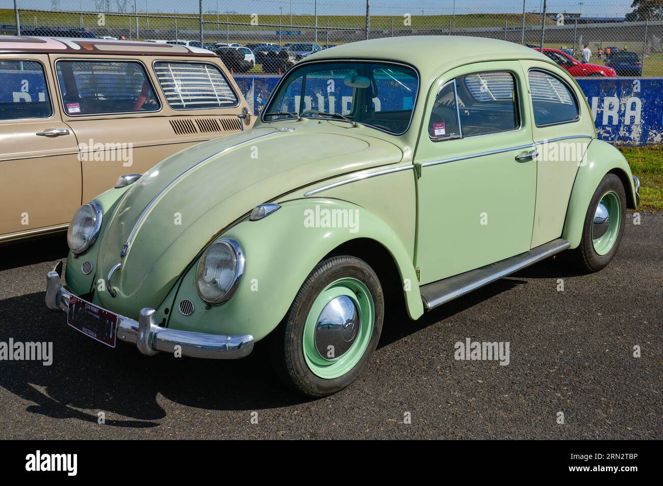 Volkswagen VW Beetle Green Vintage retro On Show Shine, Melbourne, Victoria, Australia Foto Stock