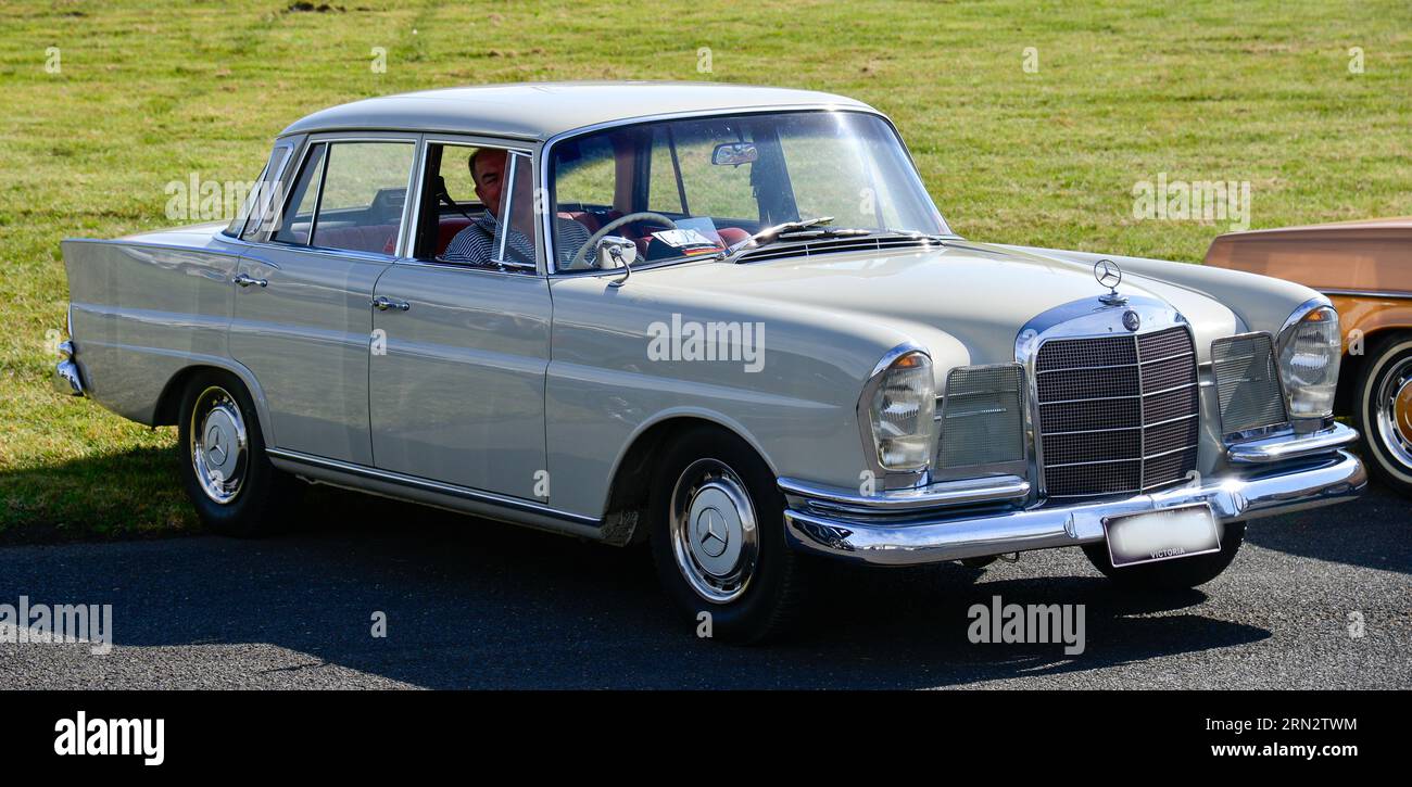 Mercedes d'epoca classica in mostra all'ippodromo Sunny Day di Melbourne, Australia Foto Stock