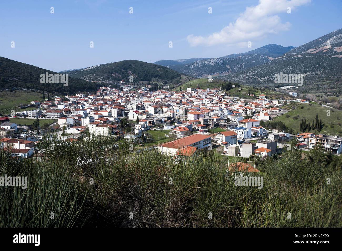 (150328)-- DISTOMO, 28 marzo 2015 -- l'immagine scattata il 15 marzo 2015 mostra la vista generale di Distomo, un piccolo villaggio a circa 110 km a nord-ovest di Atene. I nazisti massacrarono più di 200 abitanti del villaggio, per lo più donne, bambini e anziani, a Distomo il 10 giugno 1944. La Corte suprema greca ha stabilito nel 2000 che la Germania dovrebbe risarcire le vittime. Il ministro greco della giustizia Nikos Paraskevopoulos ha recentemente dichiarato di essere disposto ad attuare la sentenza della Corte. Il nuovo governo greco ha sostenuto che la Germania dovrebbe pagare alla Grecia 162 miliardi di euro come risarcimento per i danni causati dai nazisti a GR Foto Stock