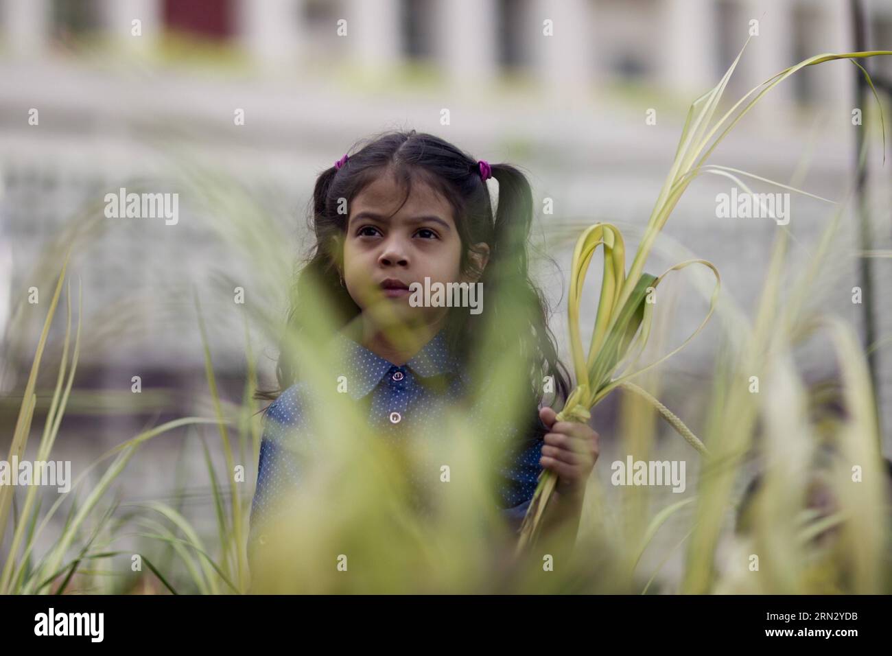 Una ragazza tiene un ramo di palma durante una processione nel quadro della Palma domenicale, che segna l'inizio della settimana Santa, a Tegucigalpa, Honduras, il 29 marzo 2015. Rafael Ochoa) (vf) HONDURAS-TEGUCIGALPA-SOCIETY-HOLY WEEK e RAFAELxOCHOA PUBLICATIONxNOTxINxCHN una ragazza tiene un ramo di palma durante una Processione nel QUADRO della domenica Palm che segna l'INIZIO della settimana Santa a Tegucigalpa Honduras IL 29 2015 marzo Rafael Ochoa VF Honduras Tegucigalpa Society Holy Week e PUTxICAXINTIXINTIXINTIXCHN Foto Stock