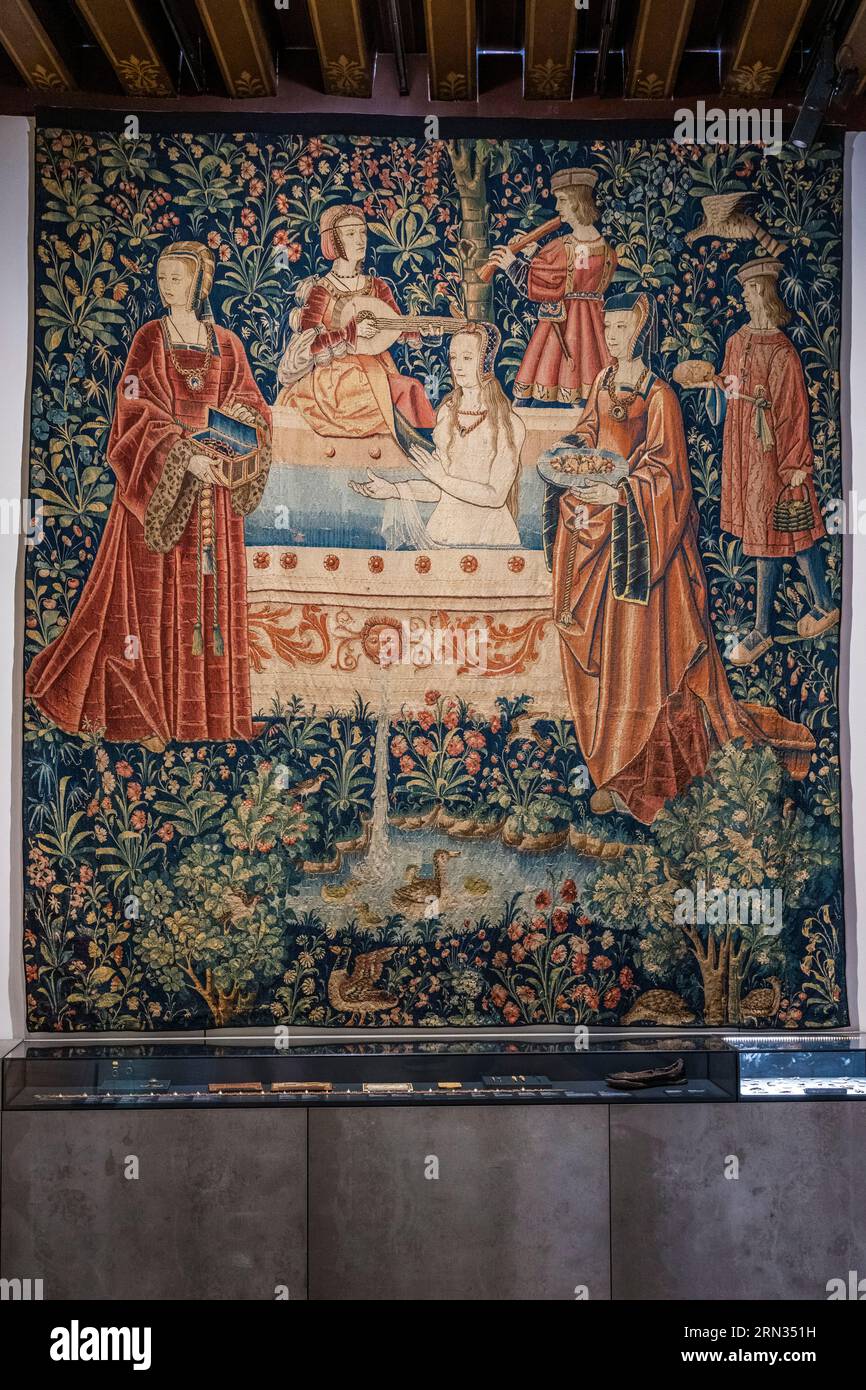 Francia, Parigi, Musée de Cluny - Musée National du Moyen-Age (Museo del Medioevo nell'ex Hotel de Cluny), arazzo di Seigneur degli inizi del XVI secolo Foto Stock
