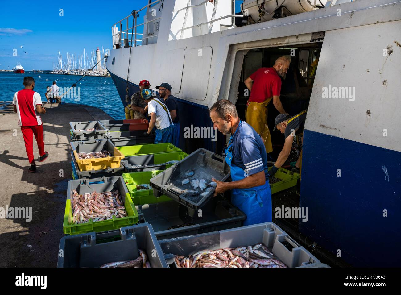 Francia, Herault, Sete, porto di pesca, ritorno dei pescherecci alla banchina e scarico delle catture Foto Stock