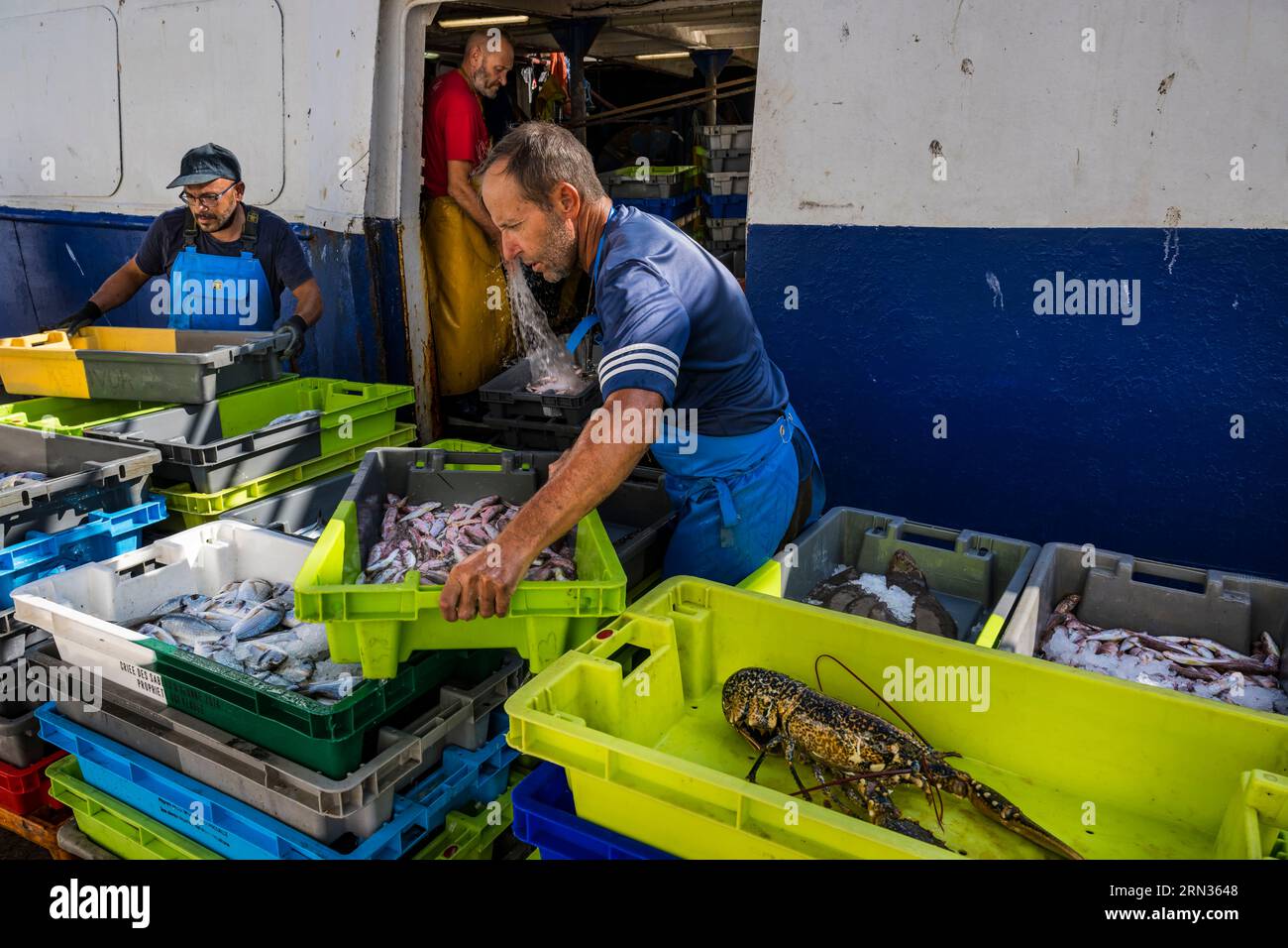 Francia, Herault, Sete, porto di pesca, ritorno dei pescherecci alla banchina e scarico delle catture Foto Stock