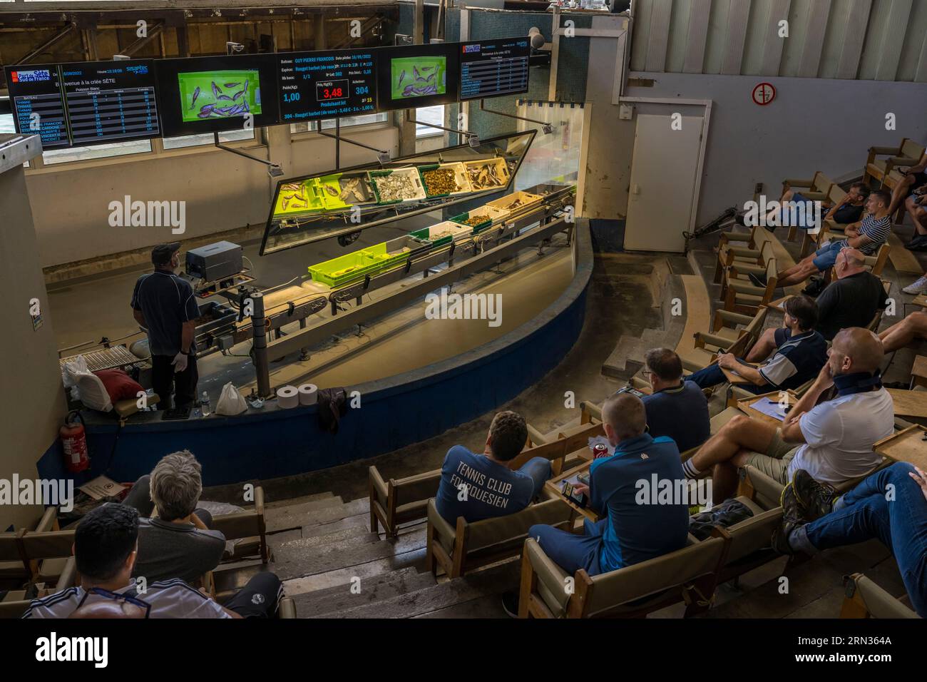 Francia, Herault, Sete, porto di pesca, asta di pesce Foto Stock