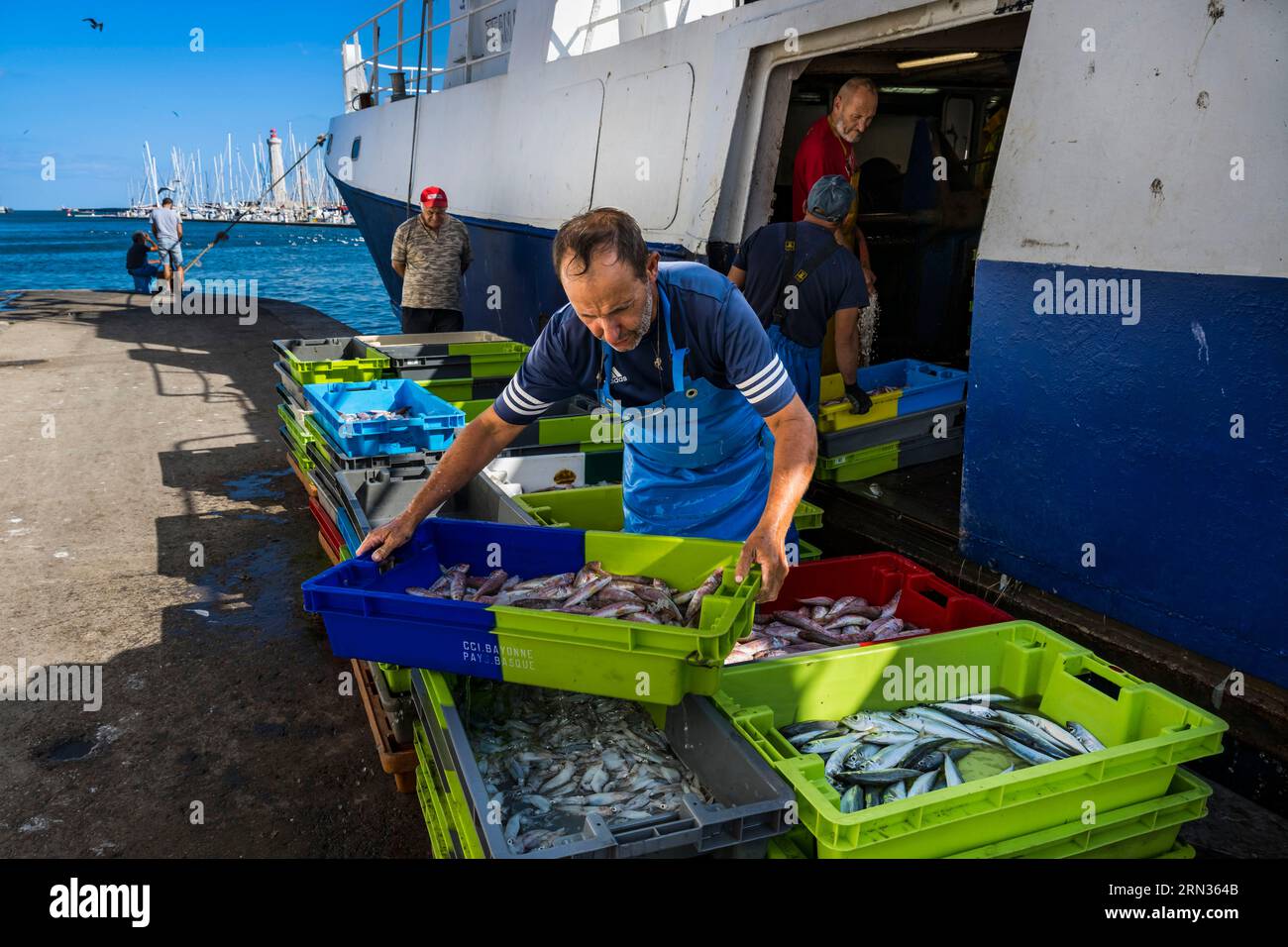 Francia, Herault, Sete, porto di pesca, ritorno dei pescherecci alla banchina e scarico delle catture Foto Stock