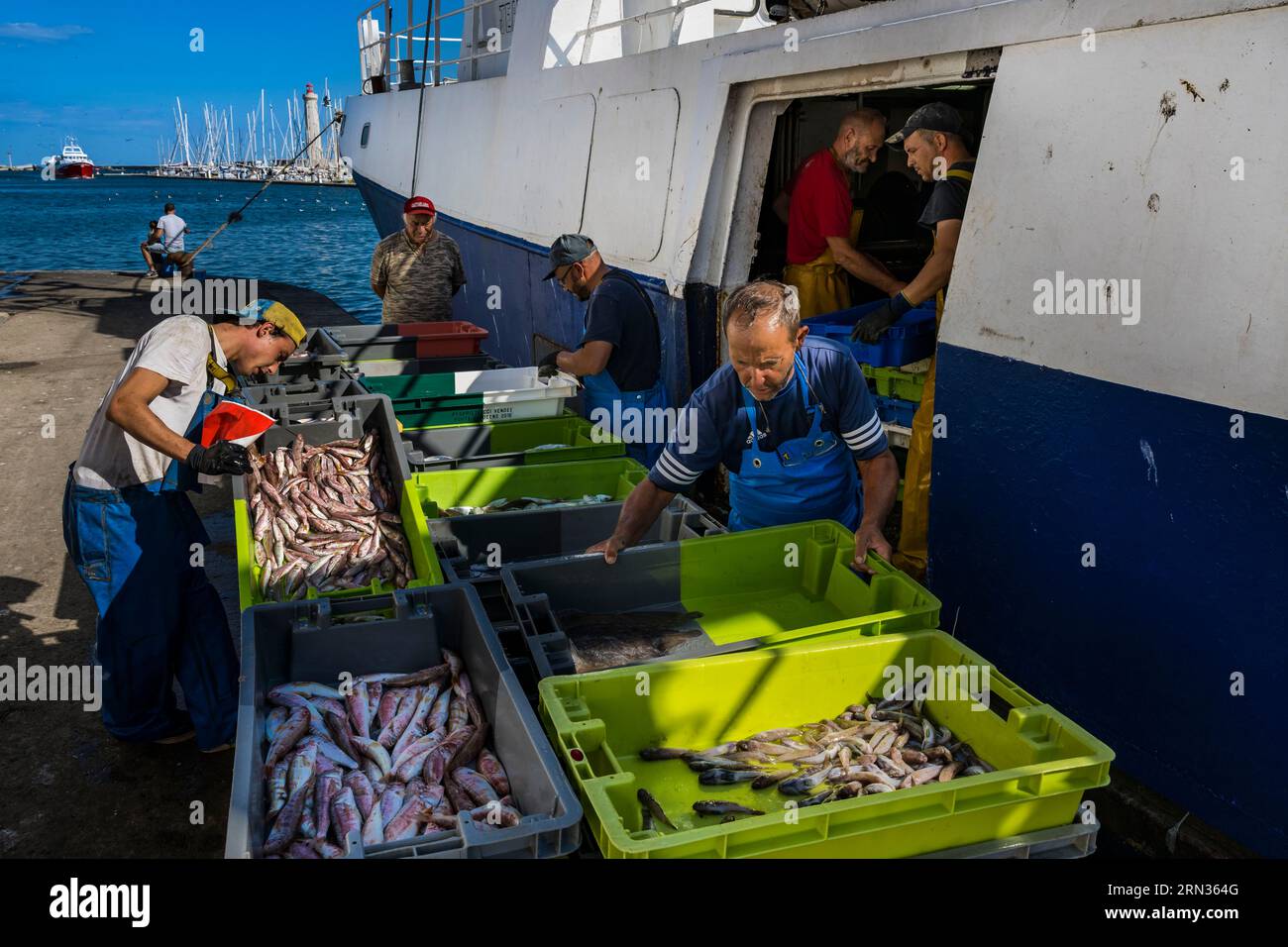 Francia, Herault, Sete, porto di pesca, ritorno dei pescherecci alla banchina e scarico delle catture Foto Stock