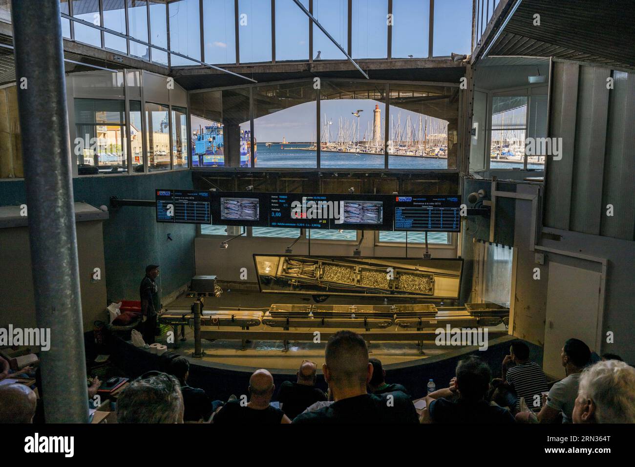 Francia, Herault, Sete, porto di pesca, asta di pesce e faro di Saint-Louis sullo sfondo Foto Stock