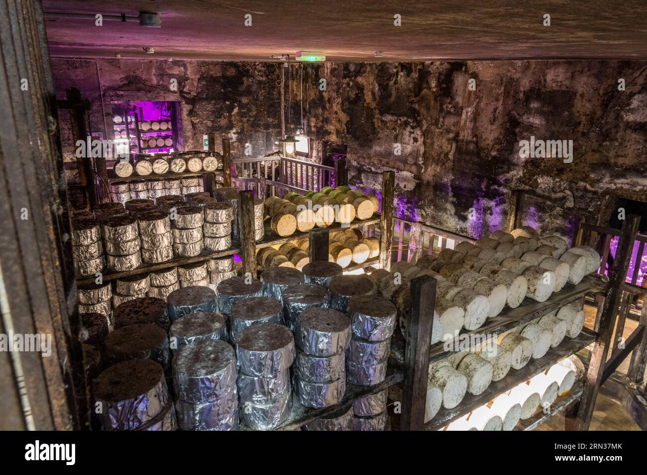 Francia, Aveyron, Parco naturale regionale Grands-Causses, Roquefort sur Soulzon, ricostruzione della cantina di stagionatura del formaggio Gabriel Coulet Roquefort Foto Stock