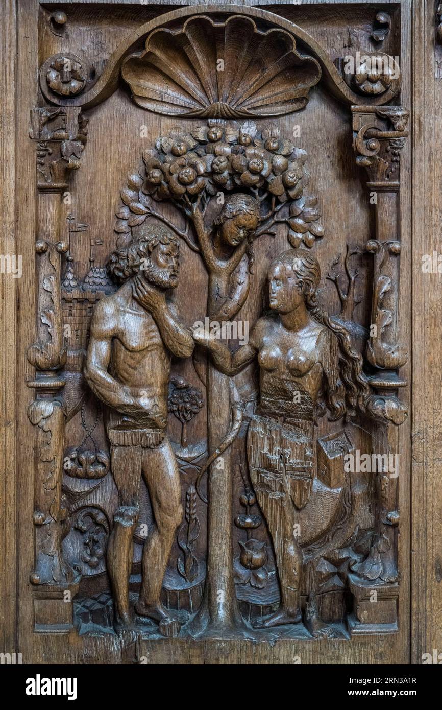 Francia, Yonne, Montreal (Borgogna), la chiesa romanica collegiata di Notre-Dame del XII secolo, bancarelle rinascimentali in legno intagliato eseguite tra il 1530 Foto Stock