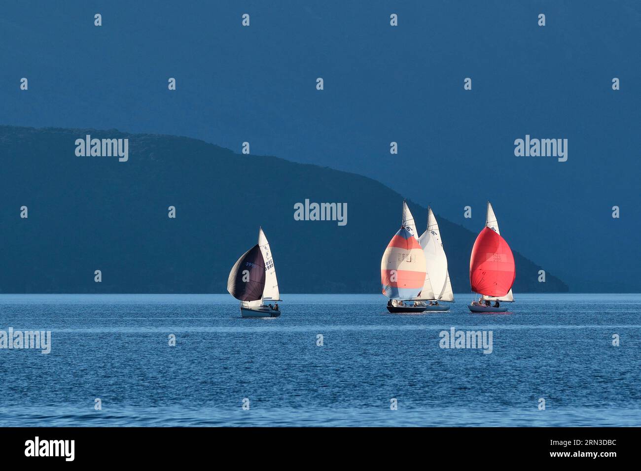 Nuova Zelanda, South Island, Otago, Distretto di Queenstown-Lakes, Wanaka, navigazione sul lago Wanaka Foto Stock